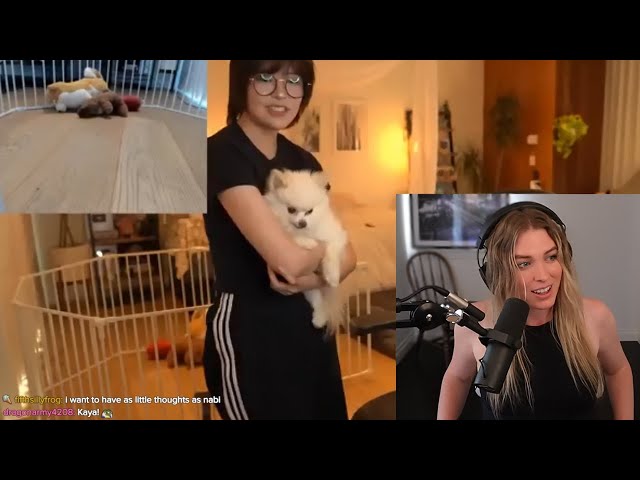 QTCinderella gets honest about Miyoung's dog class=