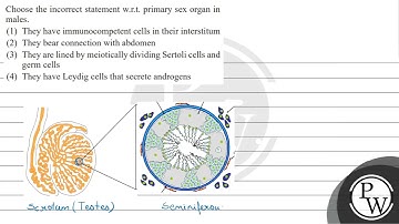 Choose the incorrect statement w.r.t. primary sex organ in males. (1) They have immunocompetent ...