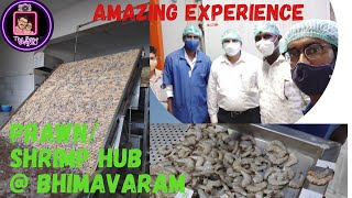 Bhimavaram || International Fish Market || Prawn & Shrimp Exports || Food Story || Amazing Aqua Food