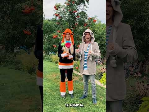 Koncert BimBamKuku Žilina 17.8.24