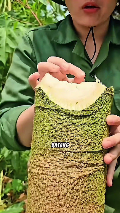 Cultivating papaya but not harvesting the fruit? #agriculture #papaya #gardeningtips #smarttricks