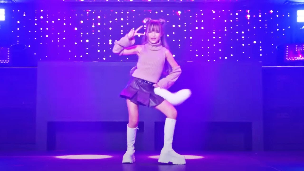 【りゅあ】ルカルカ★ナイトフィーバー2024踊ってみた