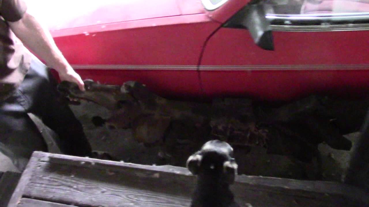 notslim1 now 60 - last weekend