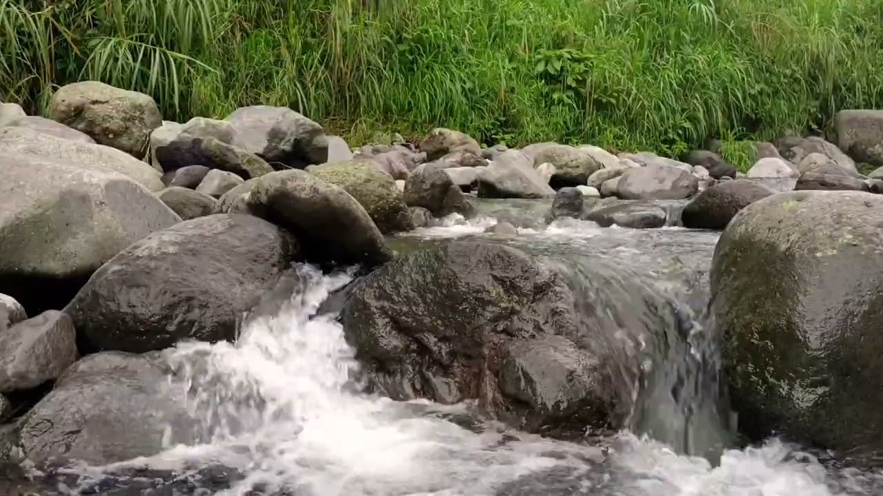 Peaceful River Ambience for Calm Nights