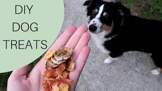 HOMEMADE DOG TREATS | Dehydrated | Natural | DIY by LifeWithAussies 5,578 views 4 years ago 4 minutes, 29 seconds