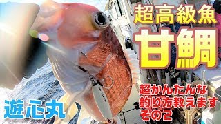 超高級魚甘鯛のかんたんな釣り方教えますⅡ