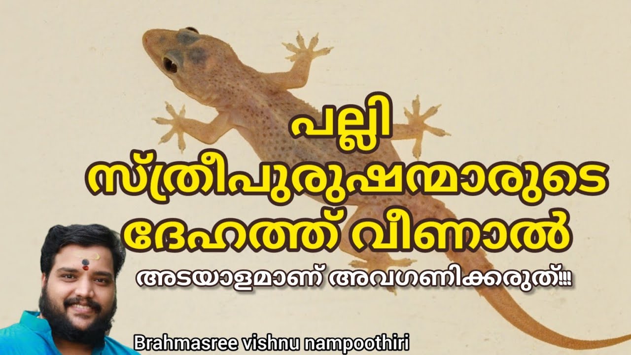 പല്ലി സ്ത്രീ പുരുഷന്മാരുടെ ദേഹത്ത് വീണാൽ | 9567955292 | Brahmasree vishnu nampoothiri | astrology