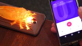 ［Sponsored］Moto Mods セミ・パネル