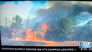 austin texas wildfires (bastrop state park)
