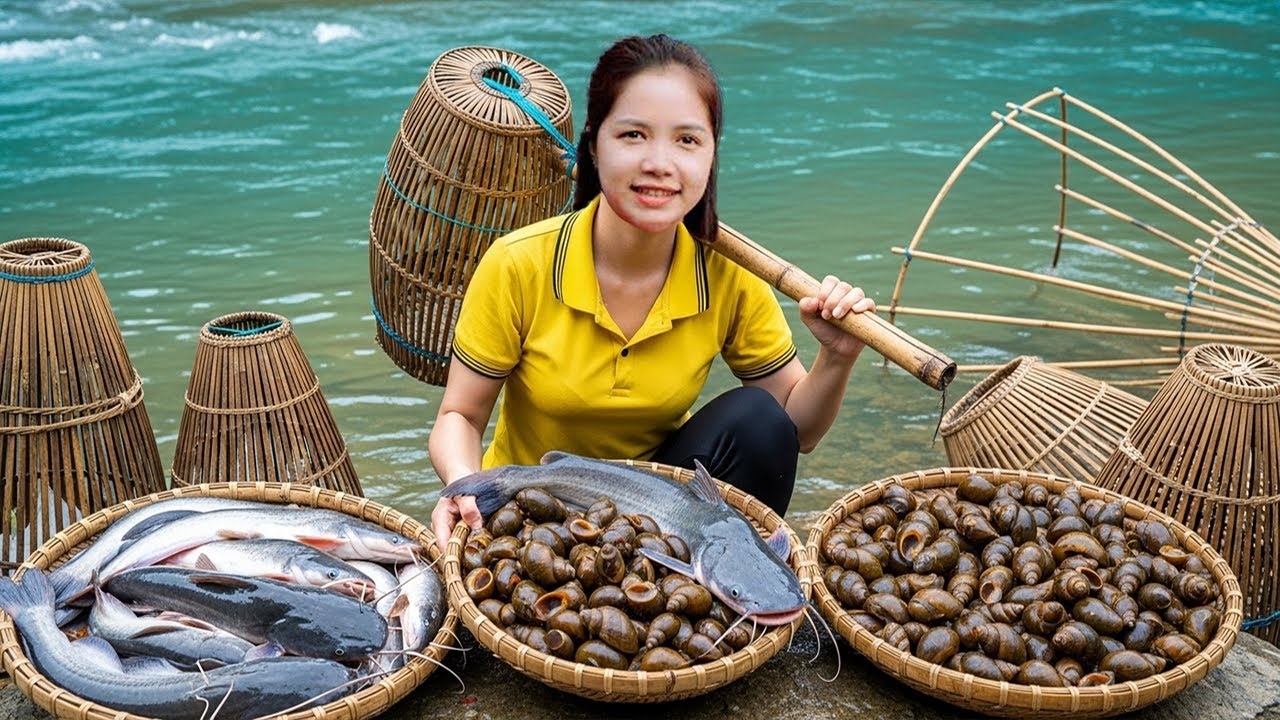Harvest Snail and Catfish – Natural Harvest in Rainy Season Countryside