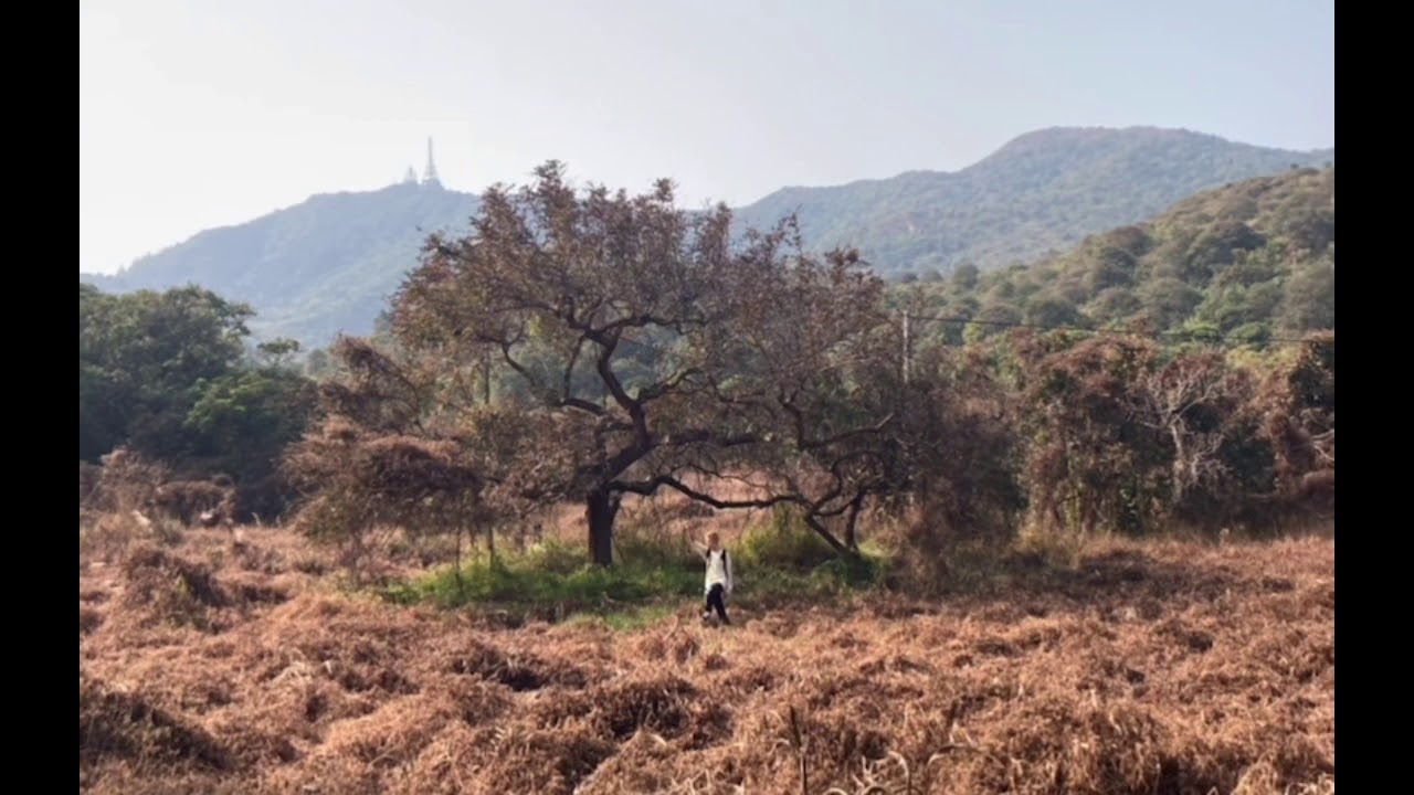 Starcross — only chill (beat)