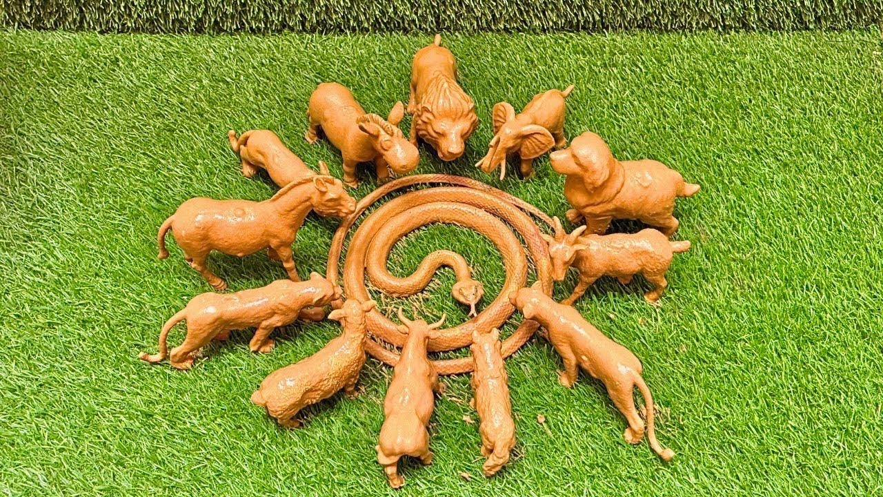 Ферма против джунглей: жизнь среди самых могущественных хищников джунглей и фермы🌿🐄