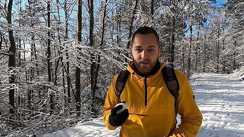 Personal Statement - Application to EMP programme at IIIEE