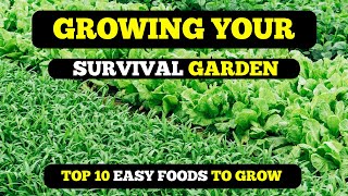 Beating Food Shortages With 10 Nutrient Rich Foods To Easily Grow