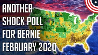 National Democratic Primary Poll Bernie's First Lead Quinnipiac - 2020 Dem Primary - February 2020