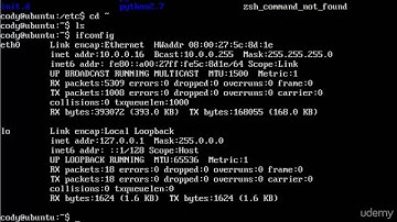 11   Releasing and Renewing a DHCP Lease