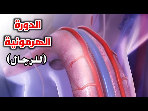تعرف علي الدوره الشهرية للرجال   