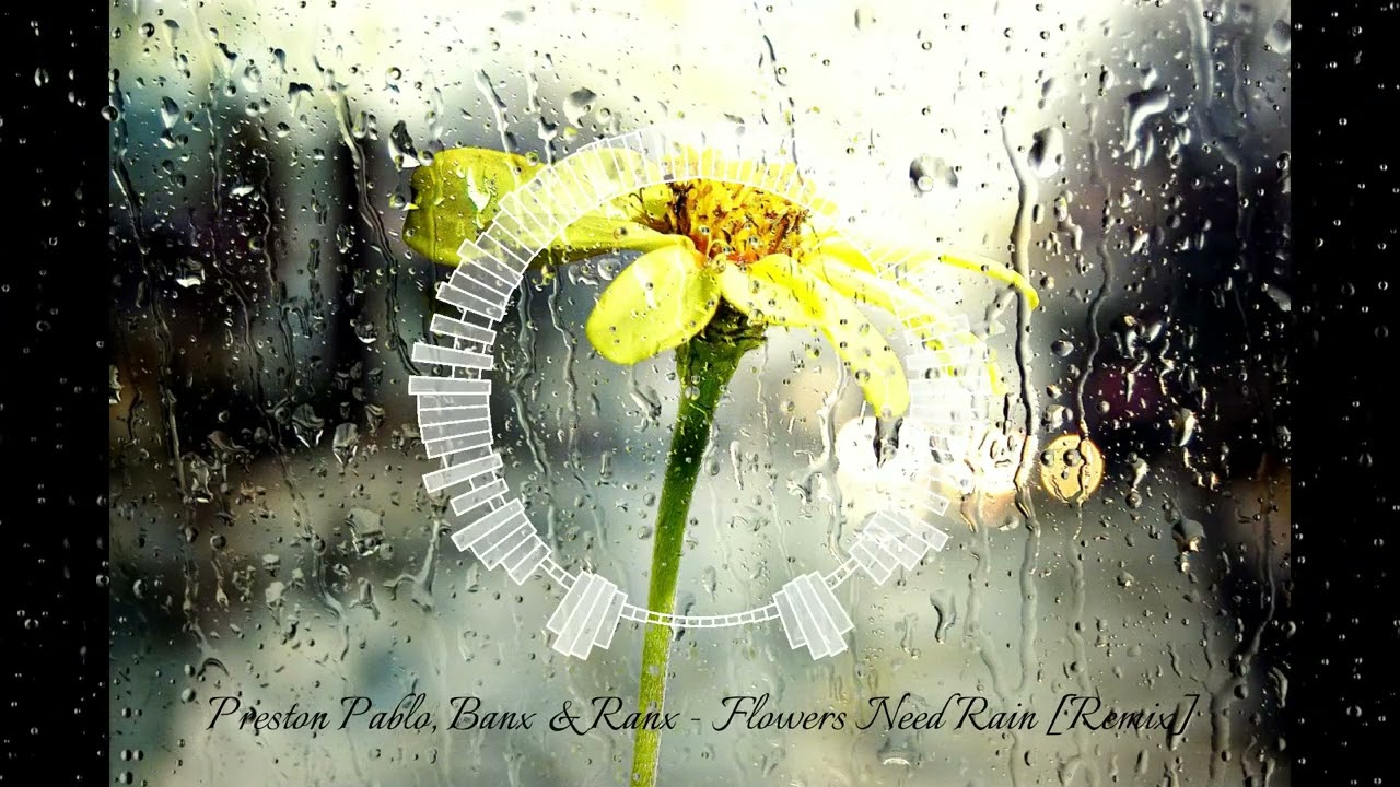 Preston Pablo, Banx & Ranx Flowers Need Rain [Remix] YouTube