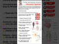 HUMAN BODY SYSTEM || Nervous system || #anatomy #viral #trending #ytshorts