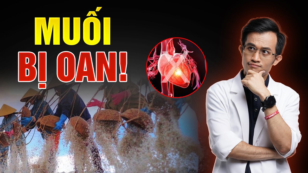 Cao huyết áp KHÔNG phải do muối – Hàng triệu người đang hiểu sai | Bác Sĩ Hải