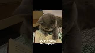 Famous how to read tutorial part 9 #cat #usefultips #helpful Profile