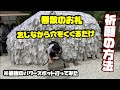 【京都】最強の「縁切り&縁結び」の神社に行ってみたら想像以上だった件