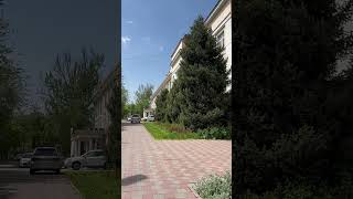 Almaty city tour. Весна в любимом городе Алматы. Kazakhstan. #spring #almaty #citytour