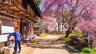 【中山道の春】馬籠宿→一石栃立場茶屋→妻籠宿を歩く - JAPAN in 4K