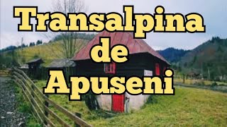 Gospodării de vânzare și părăsite, cătune izolate, pe Transalpina de Apuseni