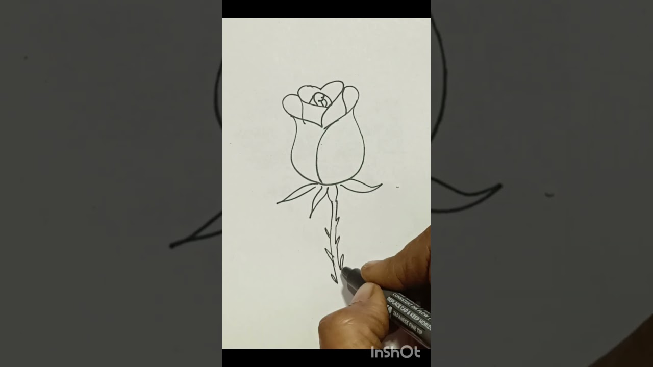 easy rose🌹 skeching idea 
