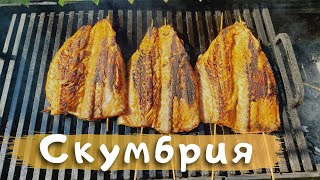 видео: Маринованная скумбрия на мангале картинка: Маринованная скумбрия на мангале