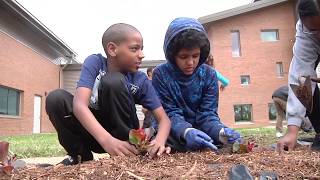 Discovery STEM Academy Earth Day