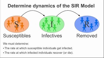 Amazing Matlab Code for the SIR Epidemic Model in MATLAB part 1 #matlab