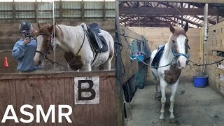 Tack up & ride ASMR