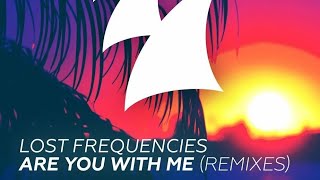 Lost Frequencies - Are You With Me (Funk D Remix) (Bass Boost+Visualizer)