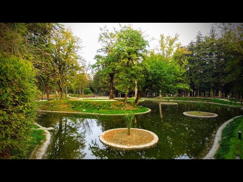 ზუგდიდის განახლებული ბოტანიკური ბაღი