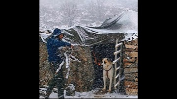 Winter snowstorm camping - Bushcraft survival shelter - Nature sounds
