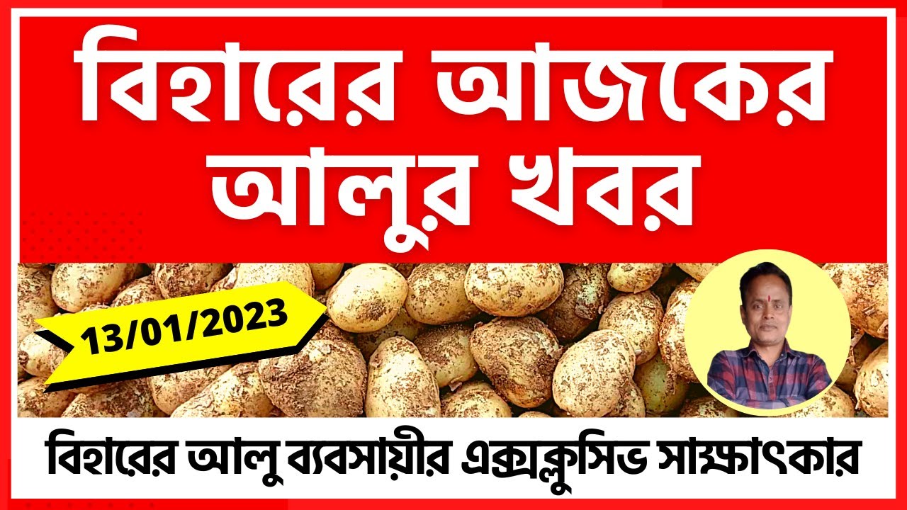 13/01/2023 বিহারের আজকের আলুর খবর I Today's Potato Price in Bihar