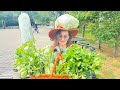 Giant Bunny Rabbit Stream - Giant Bunz Special Present Opening!!! - Day 546 - 2026-01-07