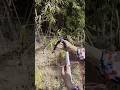 DIY Pole Pruner.