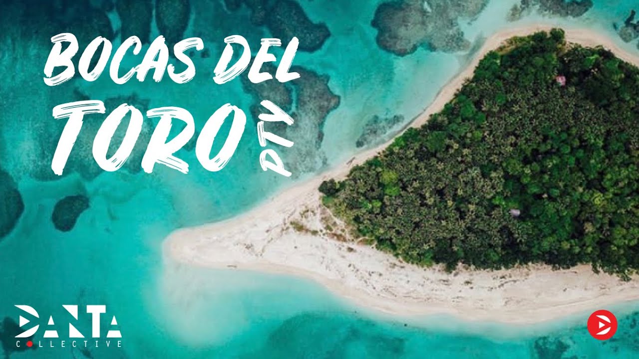 Selina Red Frog | One Day