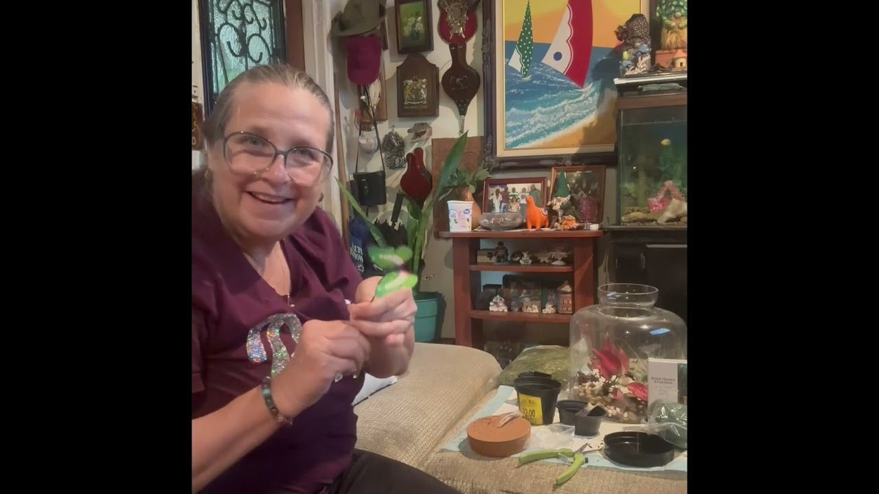 Como crear un terrario