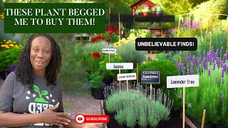 These Plants BEGGED Me to Buy Them: Unbelievable Finds! |PLANT HAUL