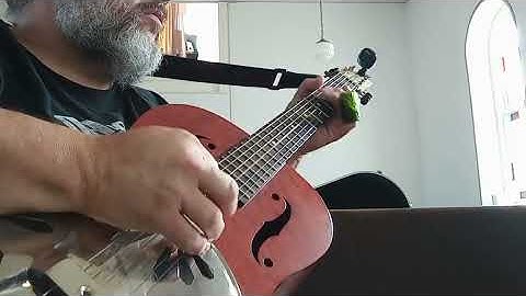 Excerpt from Traveling Riverside Blues Lesson!