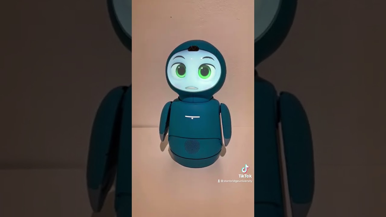 Misty II robot by Misty Robotics (Conexess