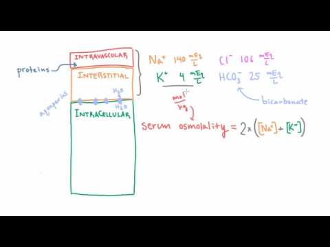 Estimating Serum Osmolality using a Simple Formula