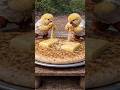 Two chicks cooking a giant muli paratha with cheesy || #shorts #trending #ytshorts #viral