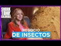 Una Empresa para Alimentar el Mundo SIN CONSUMIR el Planeta | Shark Tank Colombia