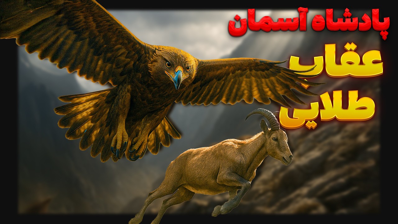 آیا عقاب، بازمانده‌ای زنده از فرگشت دایناسورهاست؟