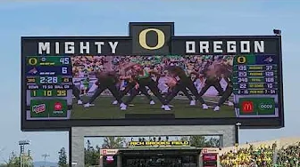 2025 Oregon Cheerleaders Montana St 3rd Qtr
